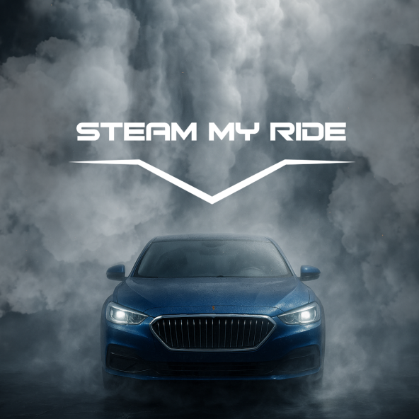 Spalare masina la tine acasa Brasov cu abur, eficienta si prietenoasa cu mediul